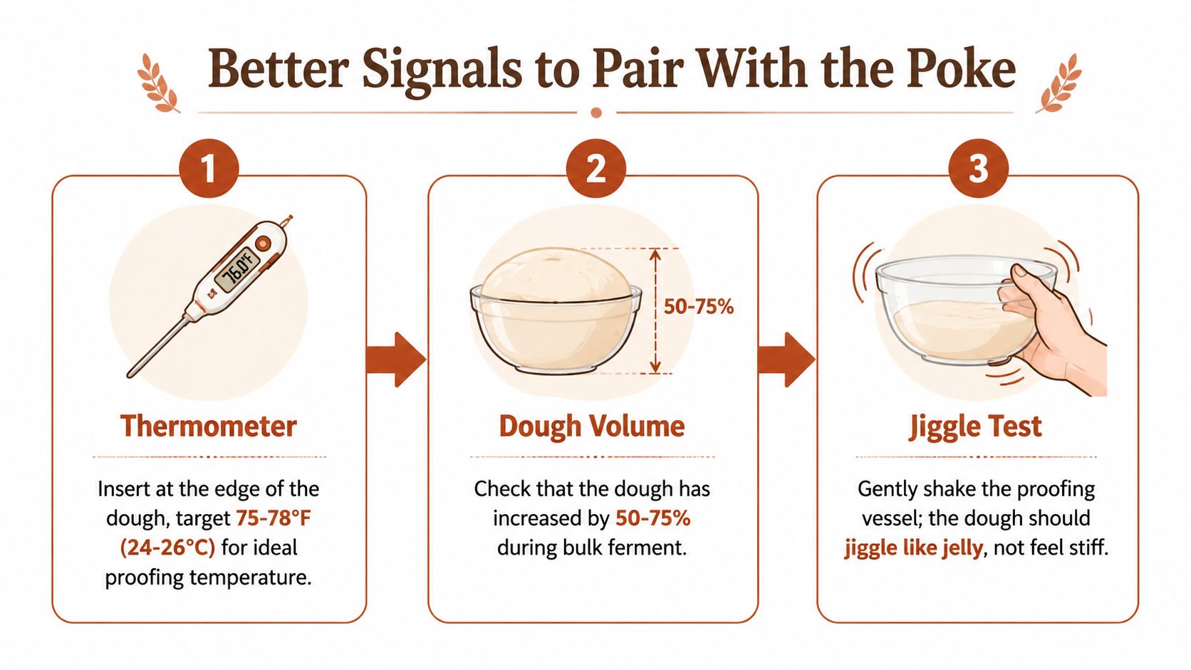 An infographic showing three techniques to determine bread dough proofing status: temperature, volume increase, and jigging.