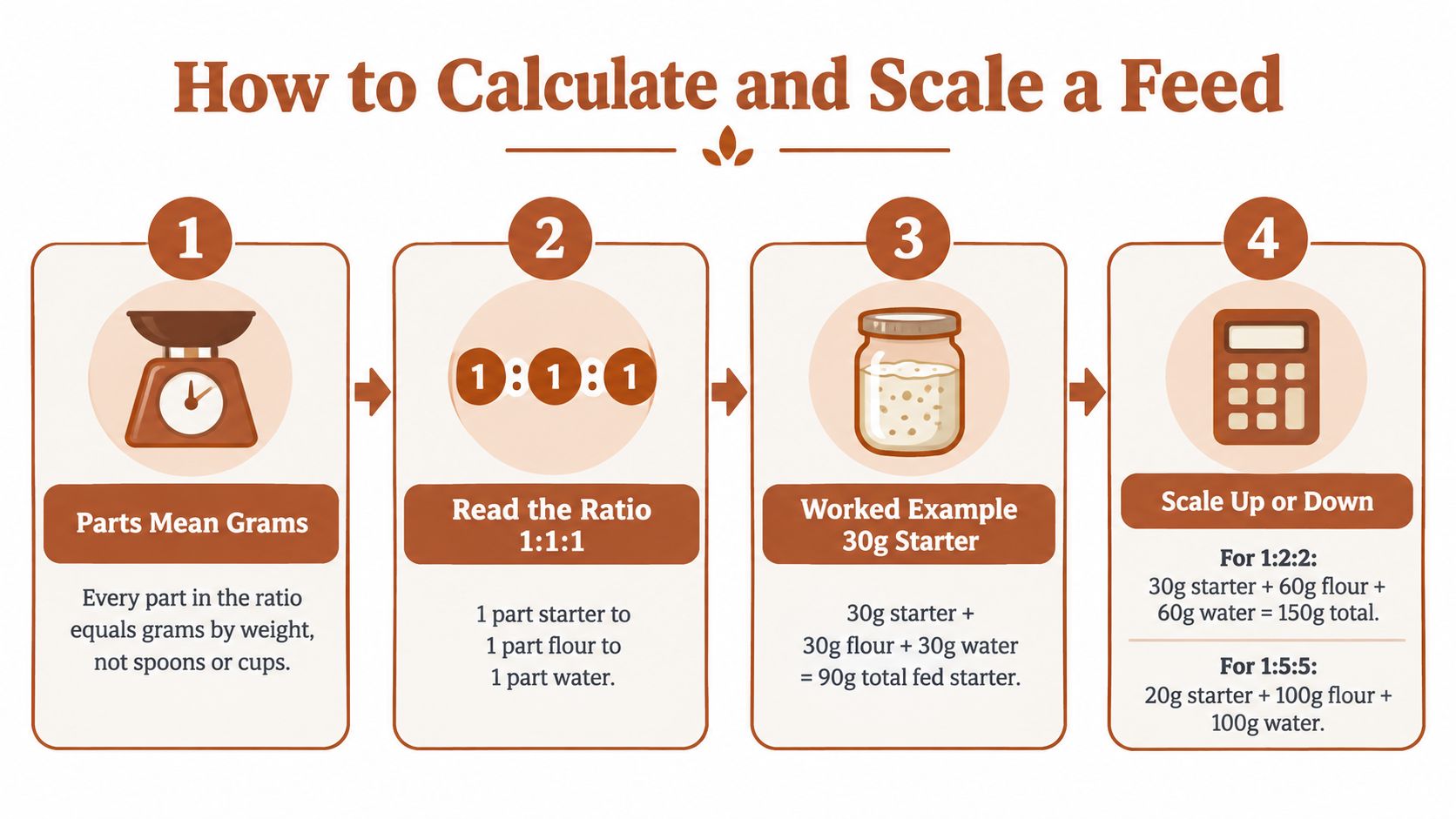 An instructional infographic explaining how to calculate and scale sourdough starter feeding ratios using grams.