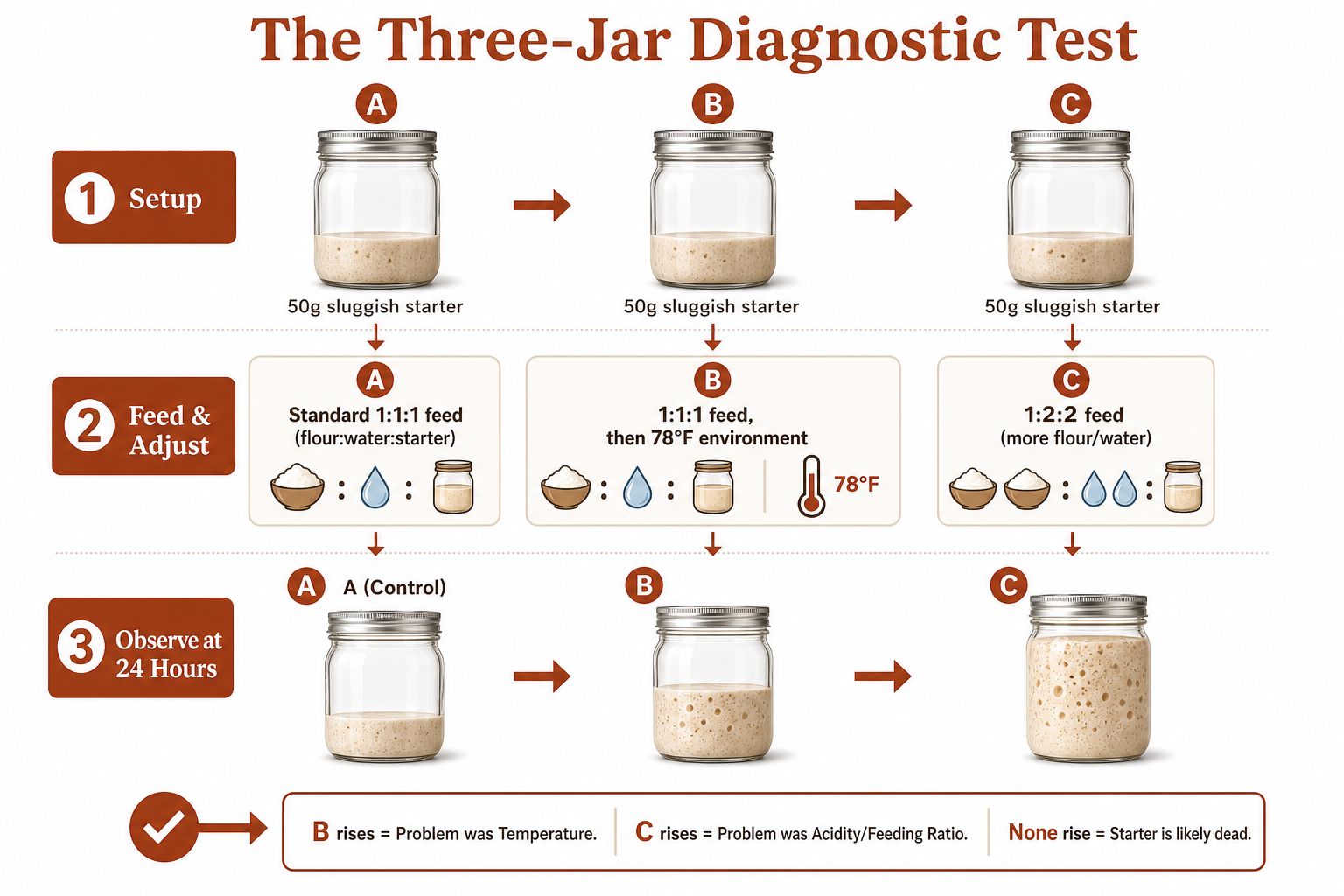 A diagnostic guide for troubleshooting sluggish sourdough starter using three jars with different feeding and temperature adjustments.