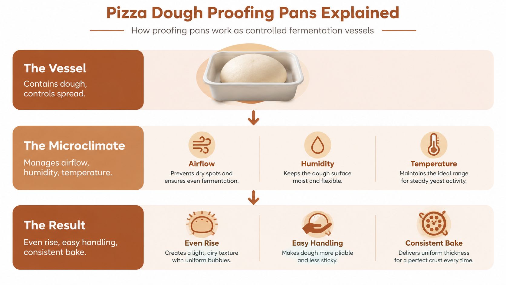 An infographic titled Pizza Dough Proofing Pans Explained showing the role of pans in fermentation and baking.