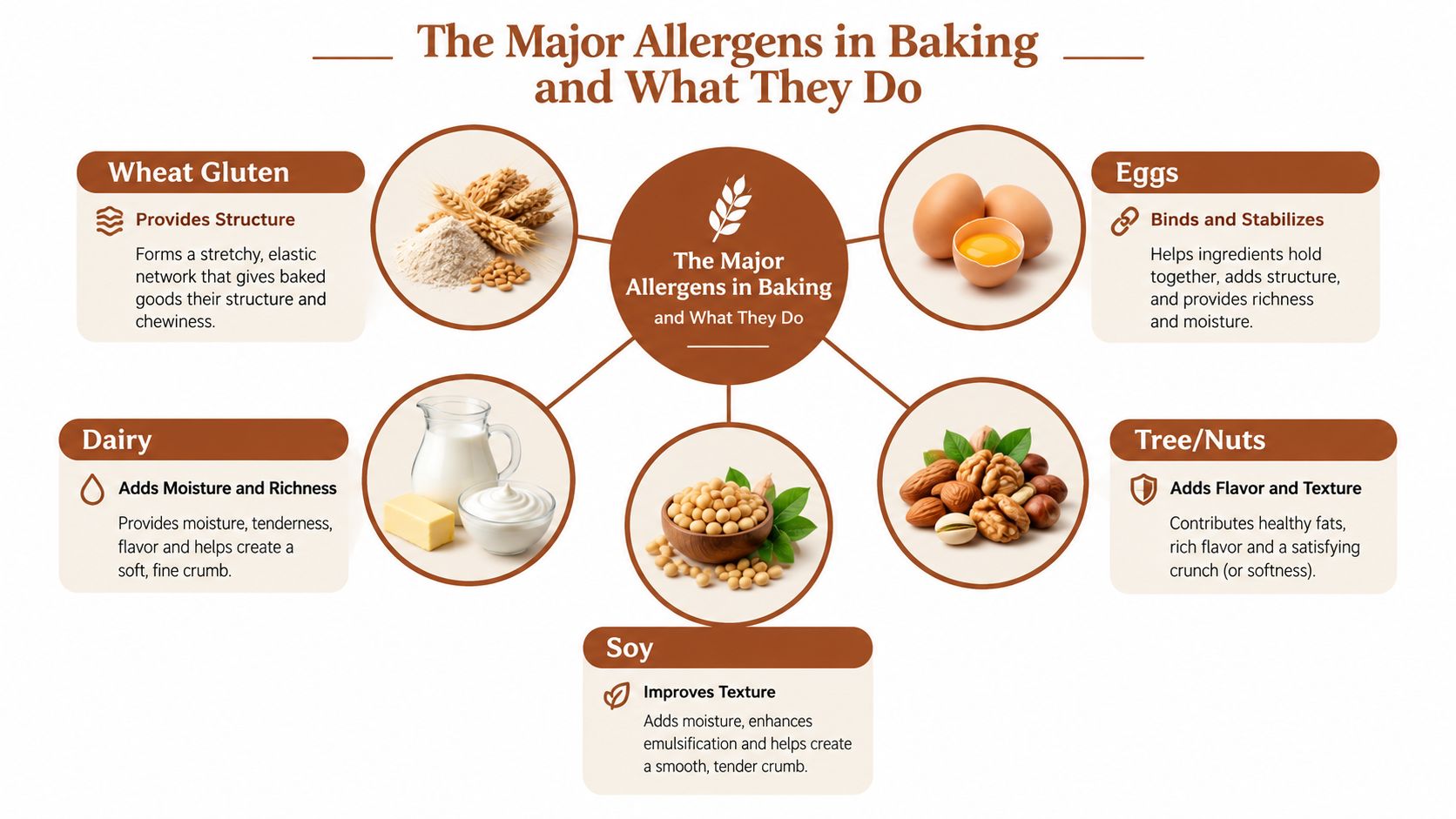 An infographic showing five major baking allergens: wheat, eggs, dairy, nuts, and soy, and their functional roles.