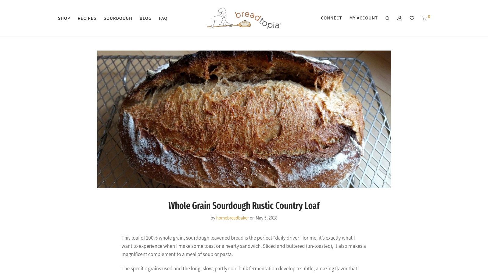 Breadtopia – Whole Grain Sourdough Rustic Country Loaf (100% whole grain)