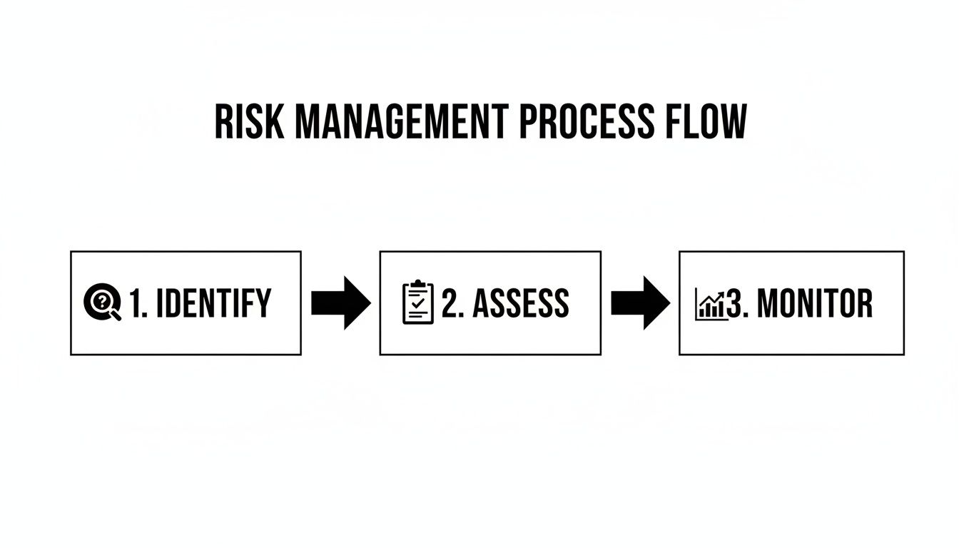 A clear flowchart outlining the three steps of the risk management process: Identify, Assess, and Monitor.