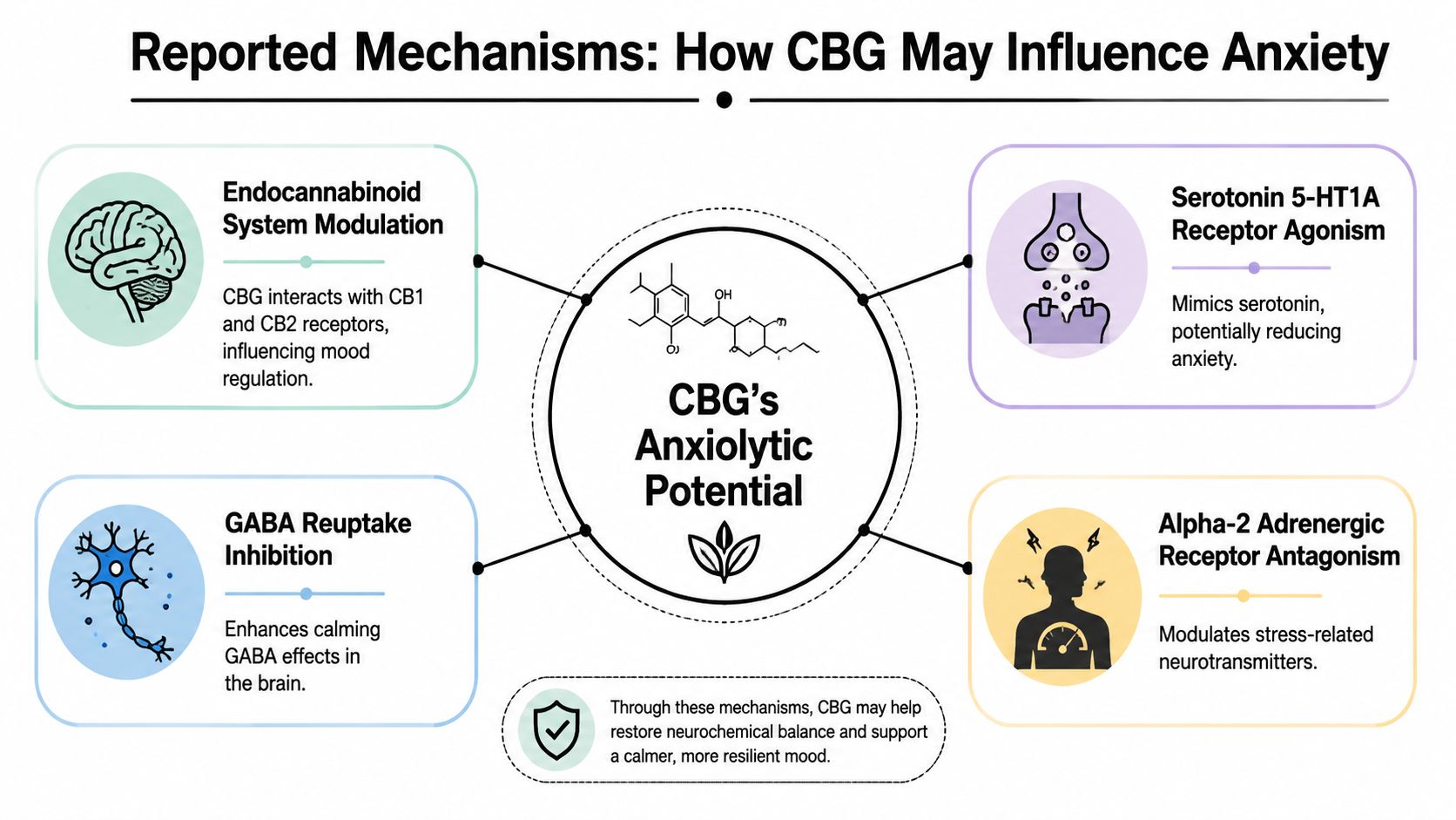 An infographic detailing four primary neurobiological mechanisms by which CBG may potentially reduce symptoms of anxiety.