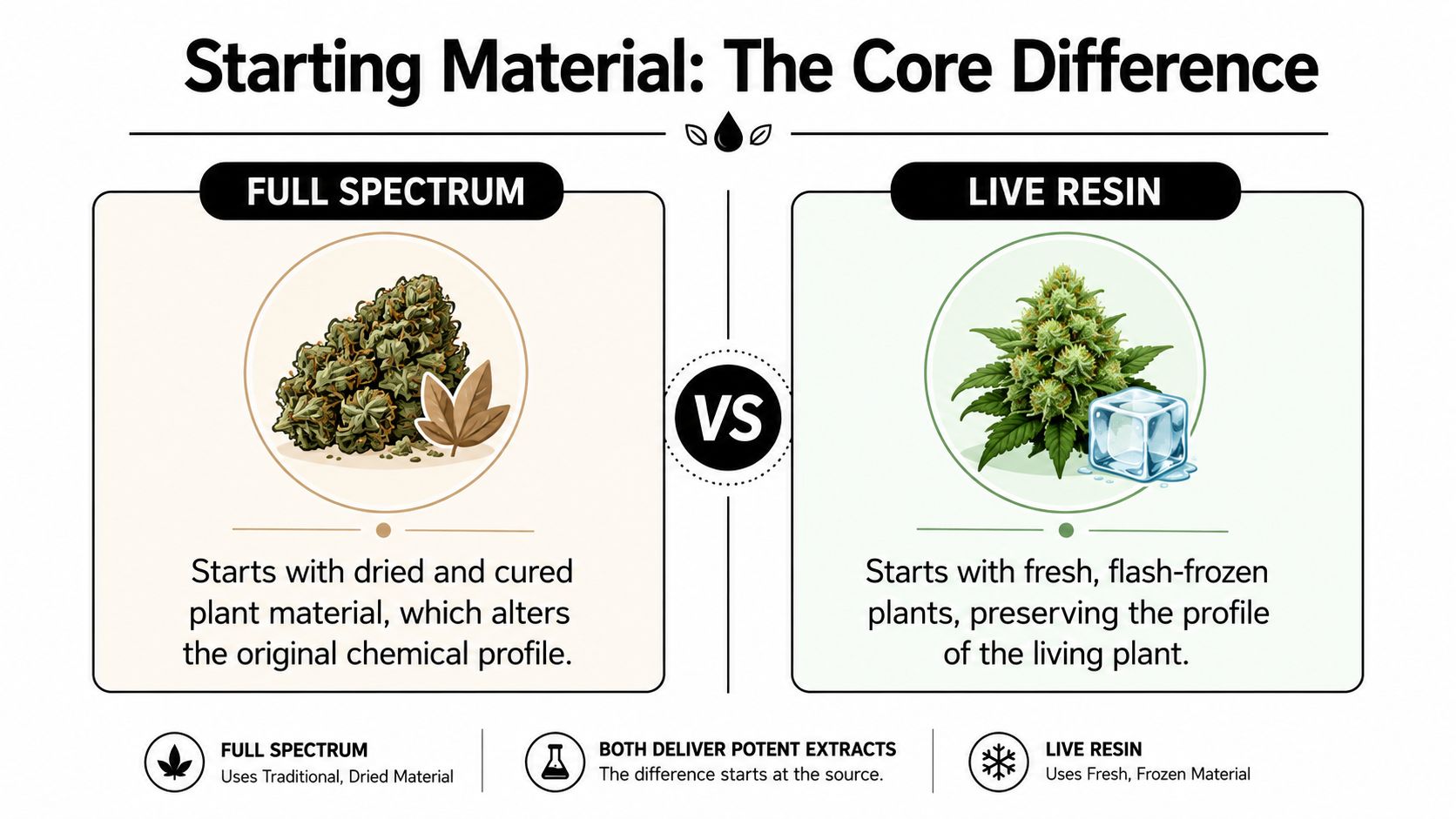 An educational comparison infographic showing the core differences between full spectrum and live resin cannabis extracts.