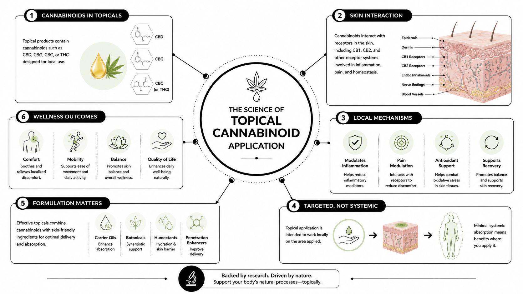 An infographic titled The Science of Topical Cannabinoid Application explaining how cannabinoids work in skincare products.