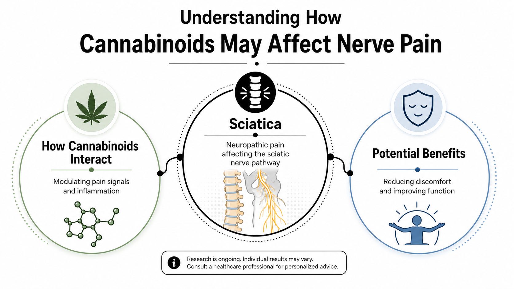 An infographic showing how cannabinoids may interact with sciatica to help reduce pain and improve function.