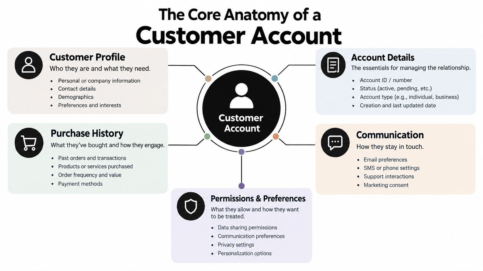 An infographic titled The Core Anatomy of a Customer Account detailing the five key components of customer data.