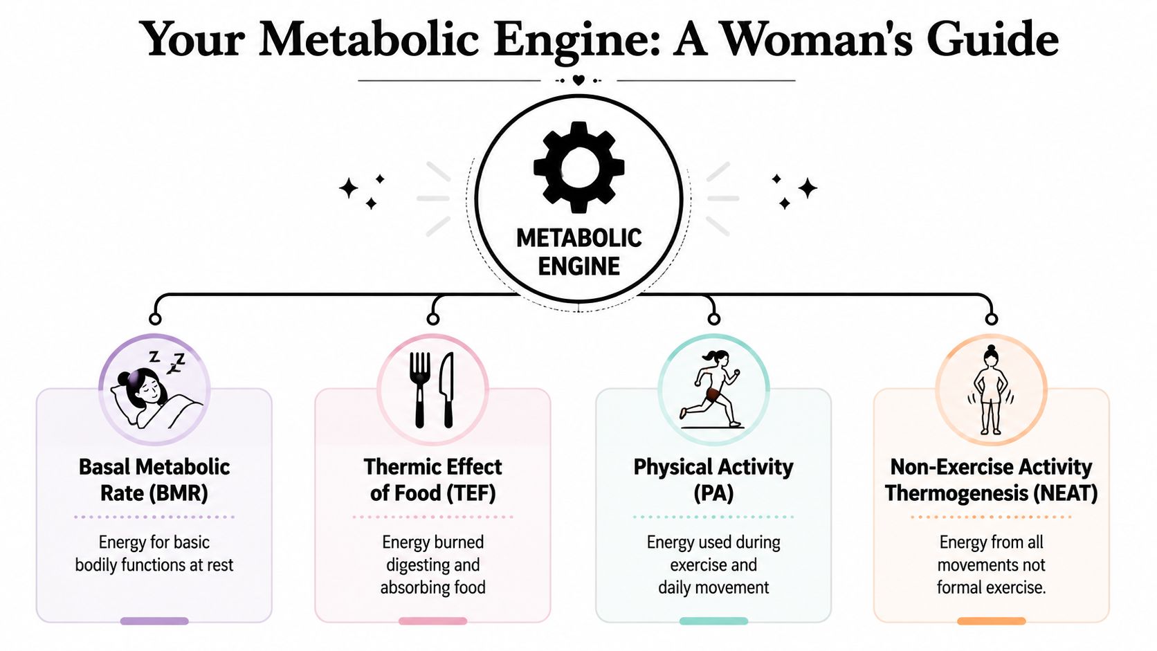 A diagram illustrating the four components of a woman's metabolism: BMR, TEF, Physical Activity, and NEAT.