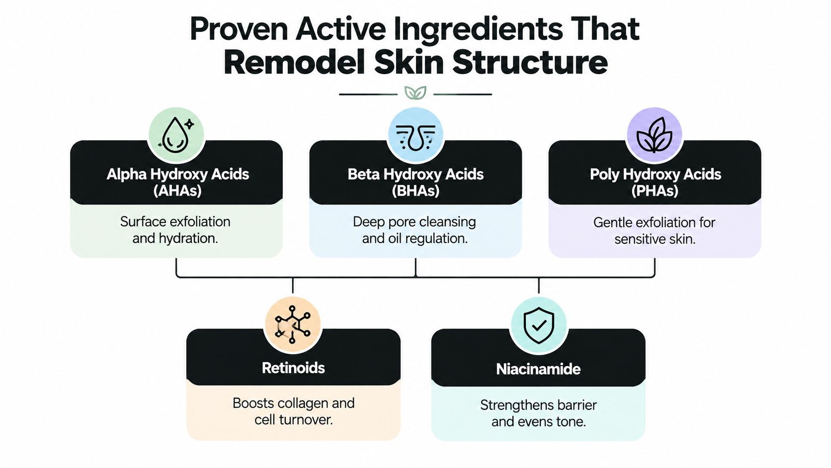 A diagram illustrating five proven active skincare ingredients including AHAs, BHAs, PHAs, retinoids, and niacinamide for skin remodeling.