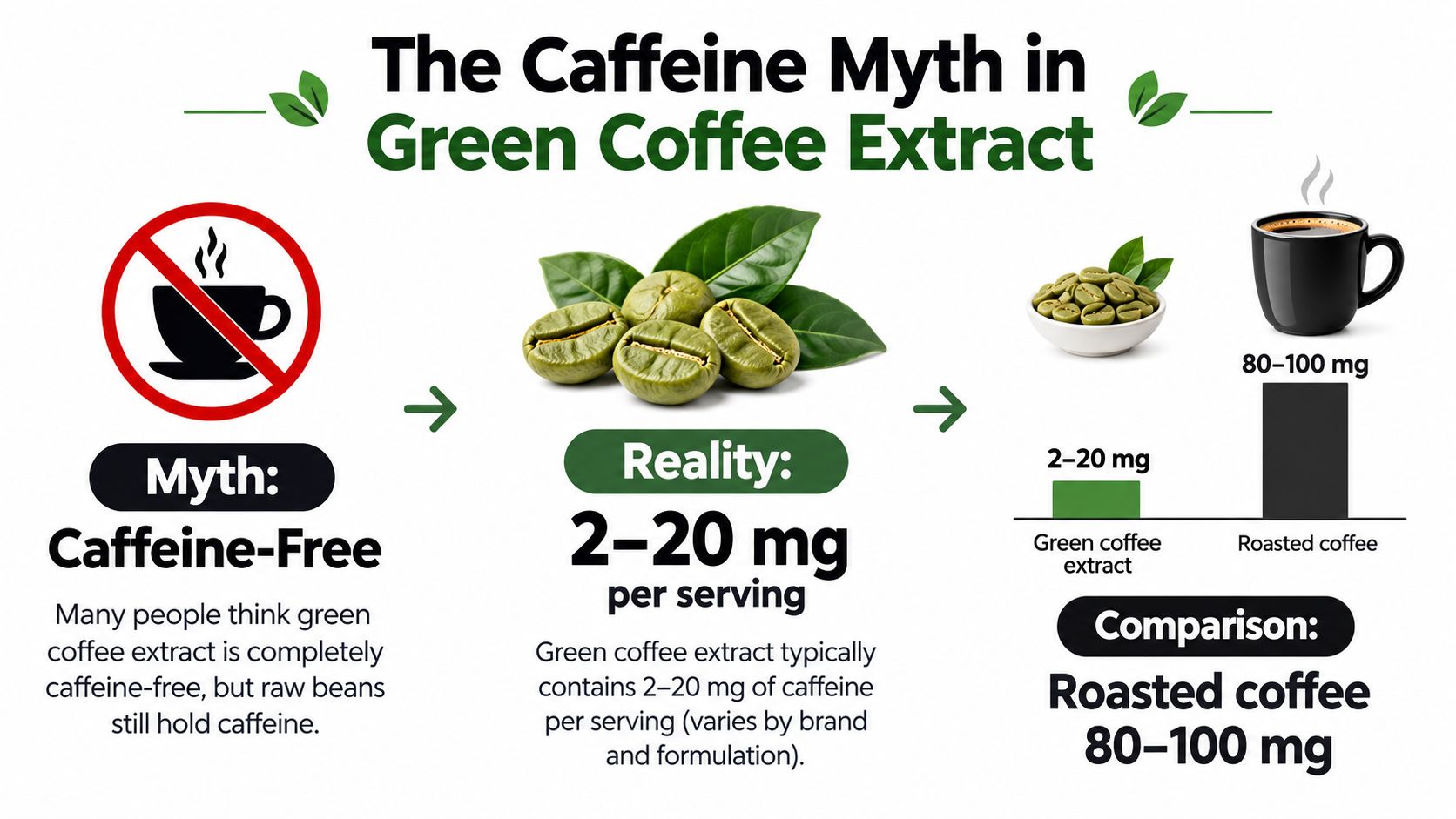 An infographic showing that green coffee extract contains small amounts of caffeine, unlike roasted coffee beans.