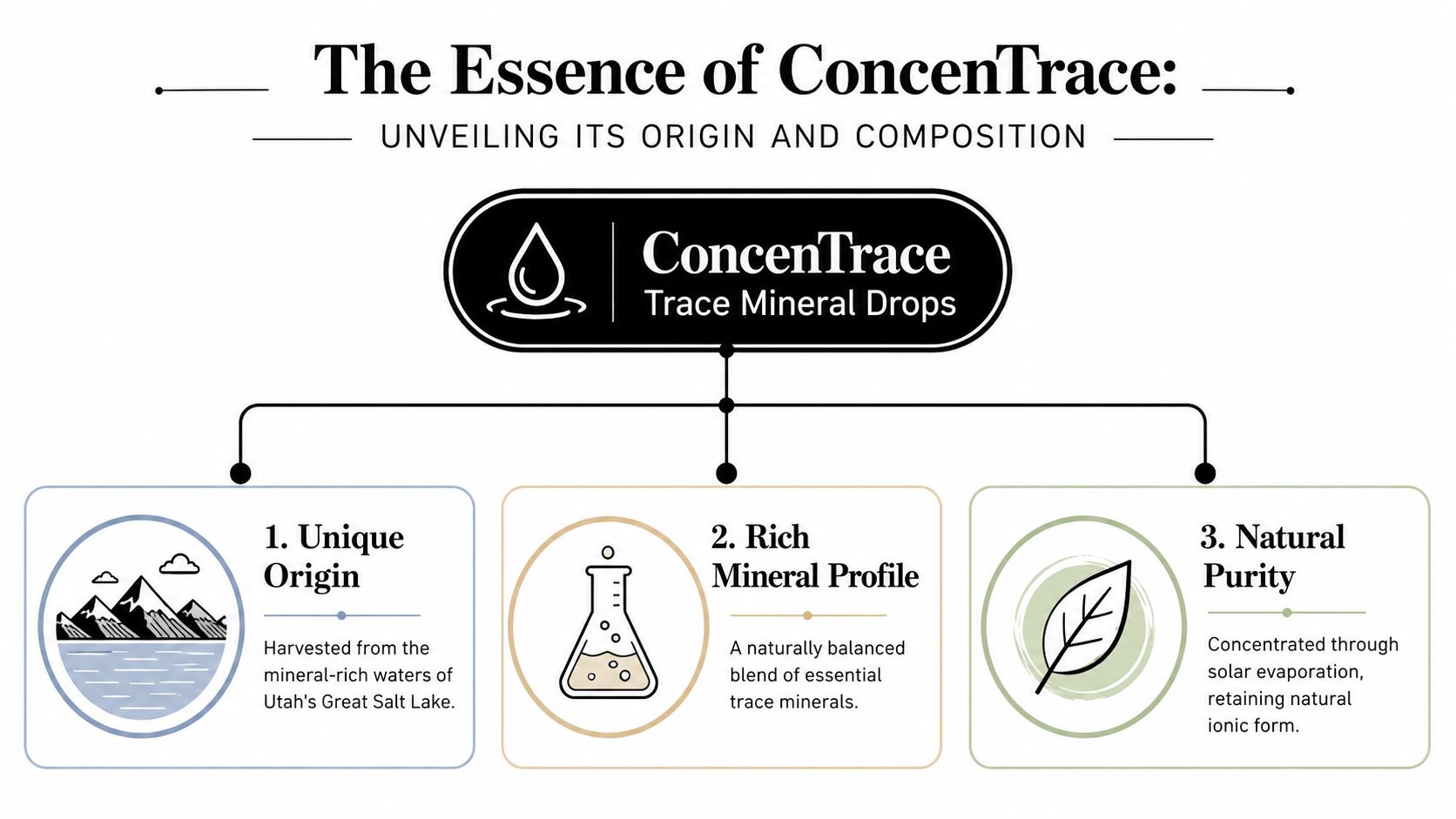 A diagram outlining the origin and composition of ConcenTrace Trace Mineral Drops from Utah's Great Salt Lake.