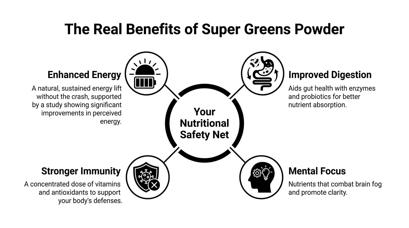 A diagram illustrating the four key health benefits of super greens powder: energy, digestion, immunity, and focus.