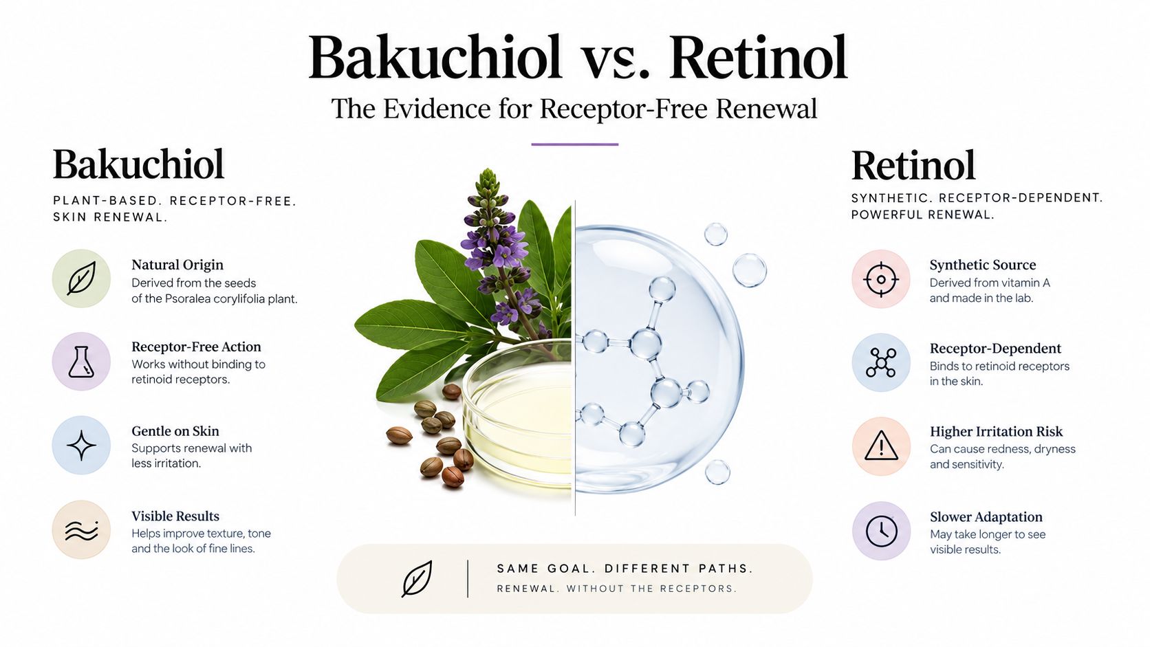 A comparison infographic between natural plant-based bakuchiol and synthetic retinol for skin care renewal.