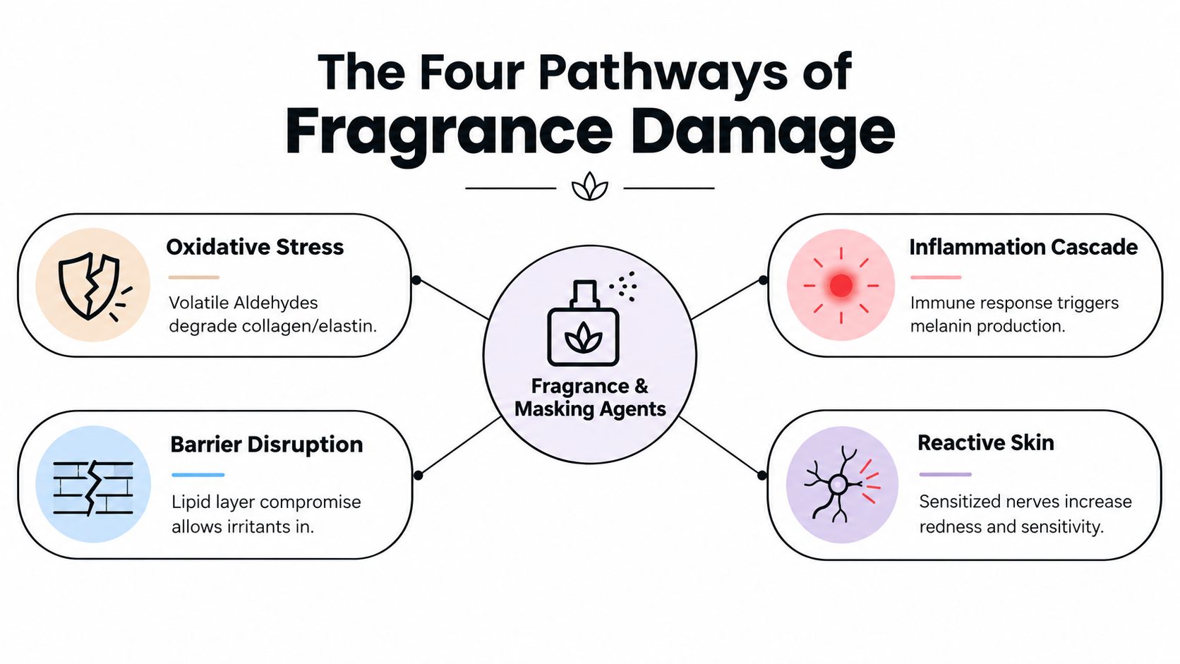 An infographic showing the four ways fragrance damages skin: oxidative stress, inflammation, barrier disruption, and reactive skin.
