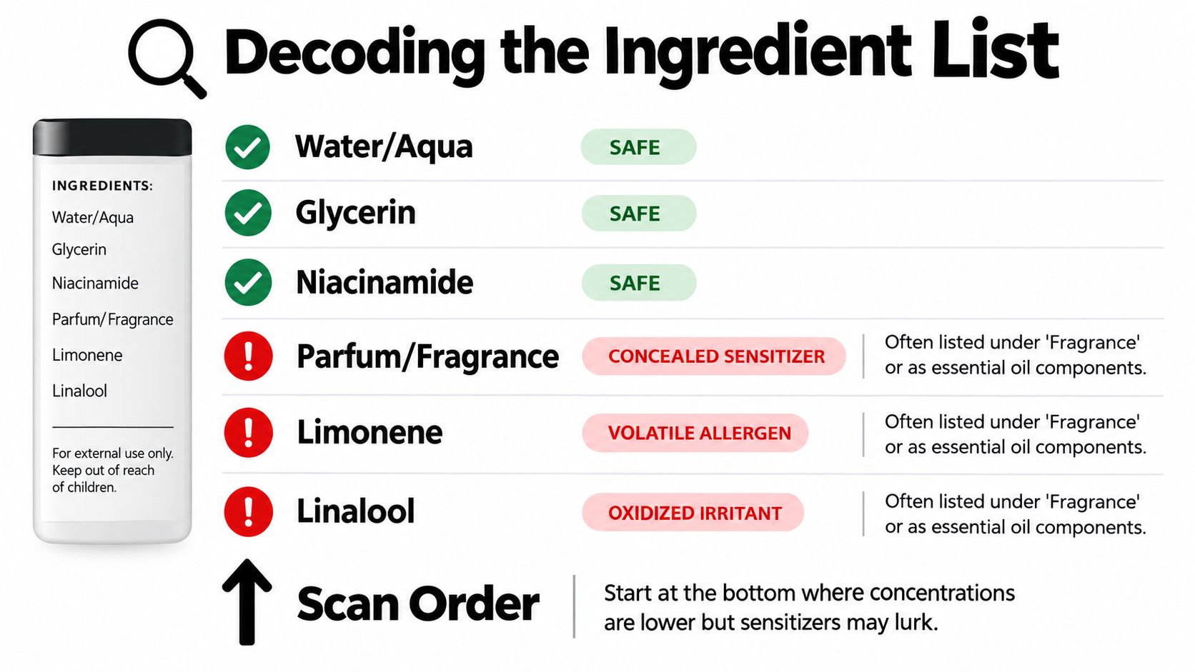 An infographic titled Decoding the Ingredient List, showing safe and potentially irritating skincare ingredients in a product.