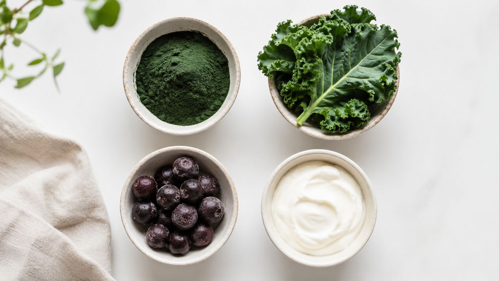 Four small bowls containing spirulina powder, fresh kale, dark acai berries, and white creamy yogurt.