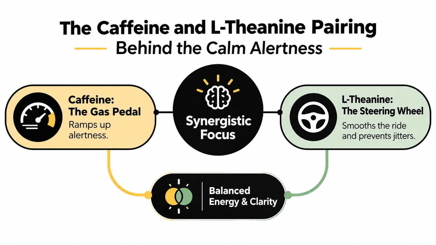 An infographic explaining the synergistic benefits of combining caffeine and L-theanine for balanced energy and focus.