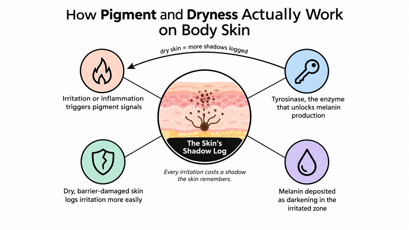 A diagram illustrating how skin dryness and irritation lead to increased melanin production and darkening.
