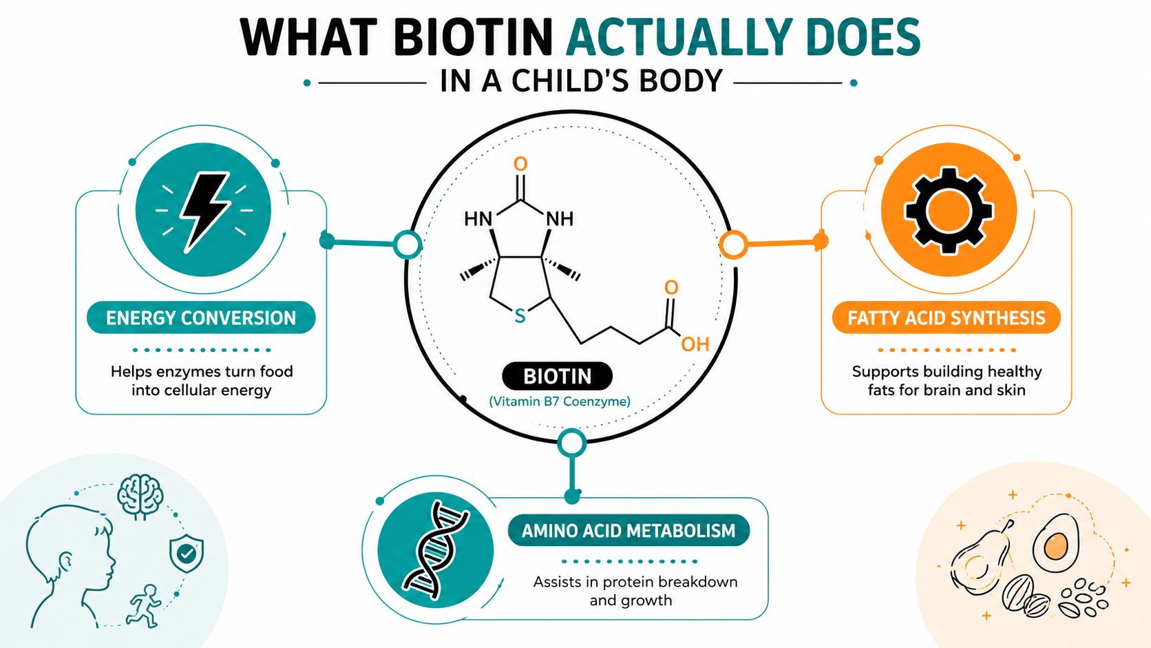 An infographic showing the biological roles of biotin in children, including energy conversion, fatty acid synthesis, and metabolism.