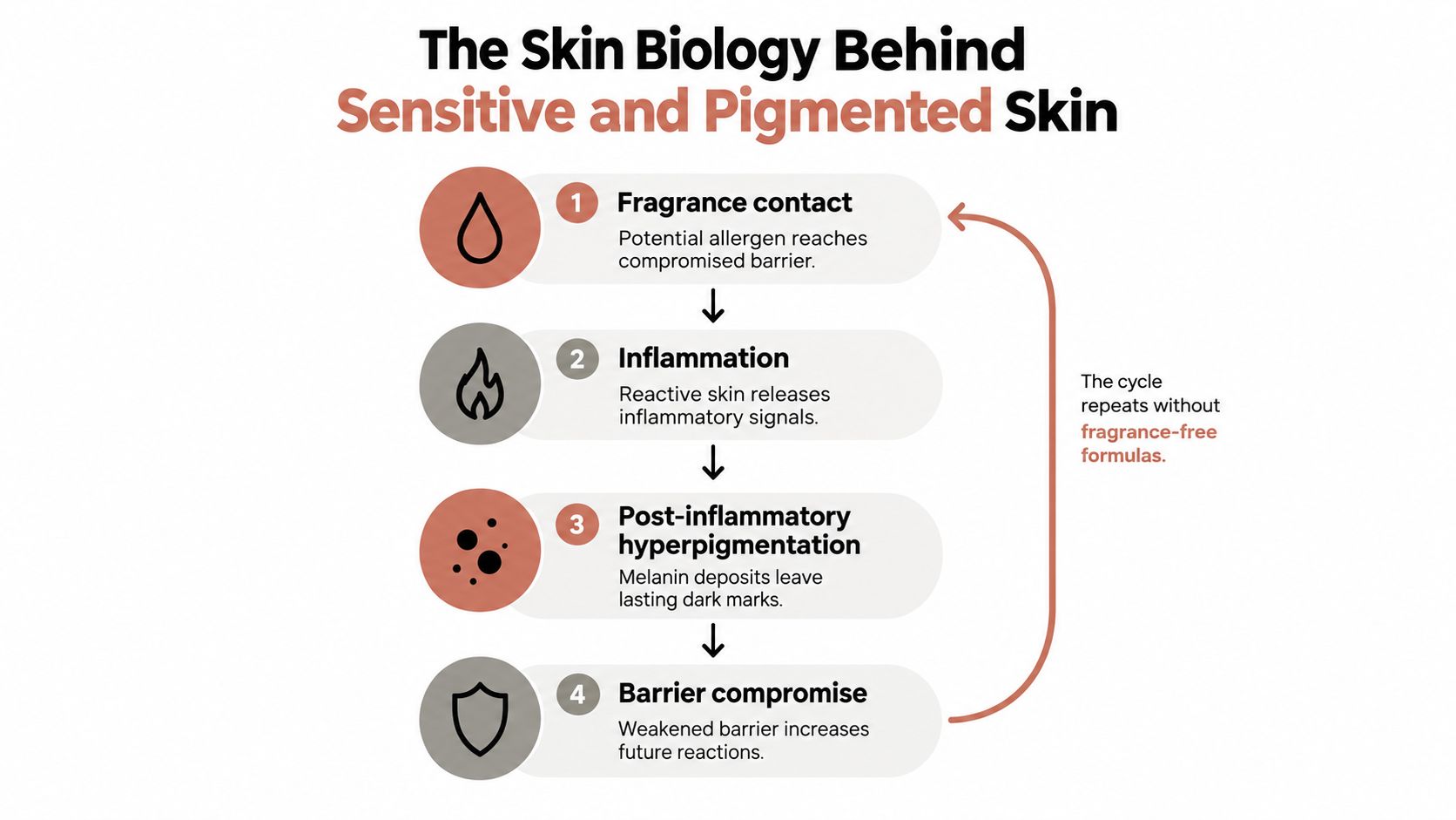 A diagram explaining the biological cycle of skin sensitivity, inflammation, hyperpigmentation, and compromised skin barrier repair.