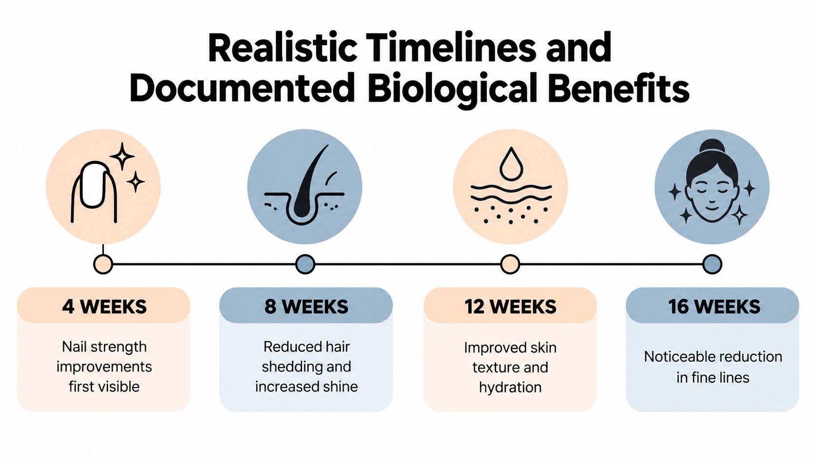 A timeline graphic showing beauty benefits of supplements over 4, 8, 12, and 16 weeks.