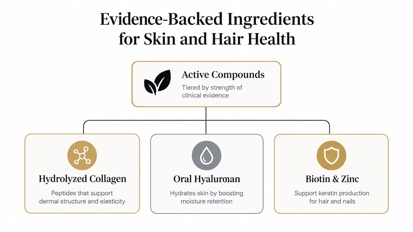 A diagram illustrating evidence-backed skin and hair health ingredients: hydrolyzed collagen, oral hyaluronan, and biotin with zinc.
