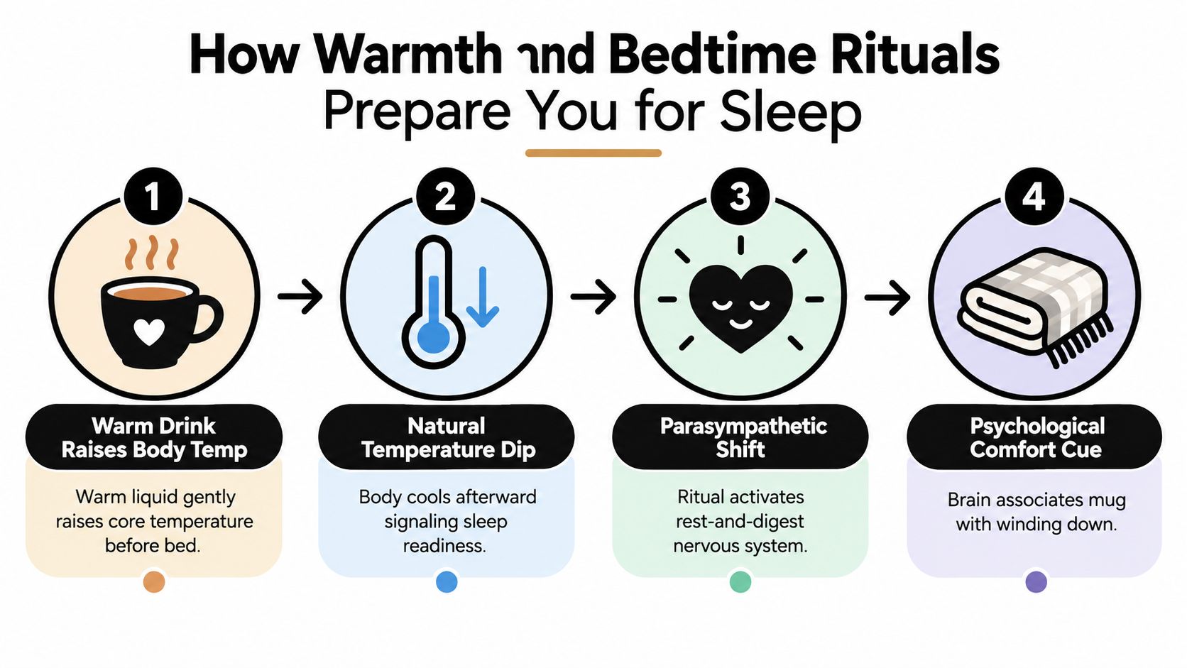 An infographic showing four steps of how warm beverages and bedtime rituals prepare the body for sleep.