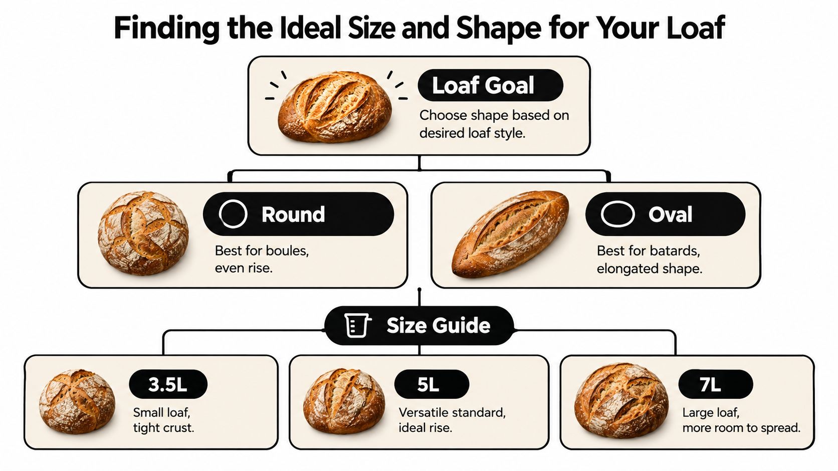 An infographic showing how to select the right Dutch oven size and shape for baking bread loaves.