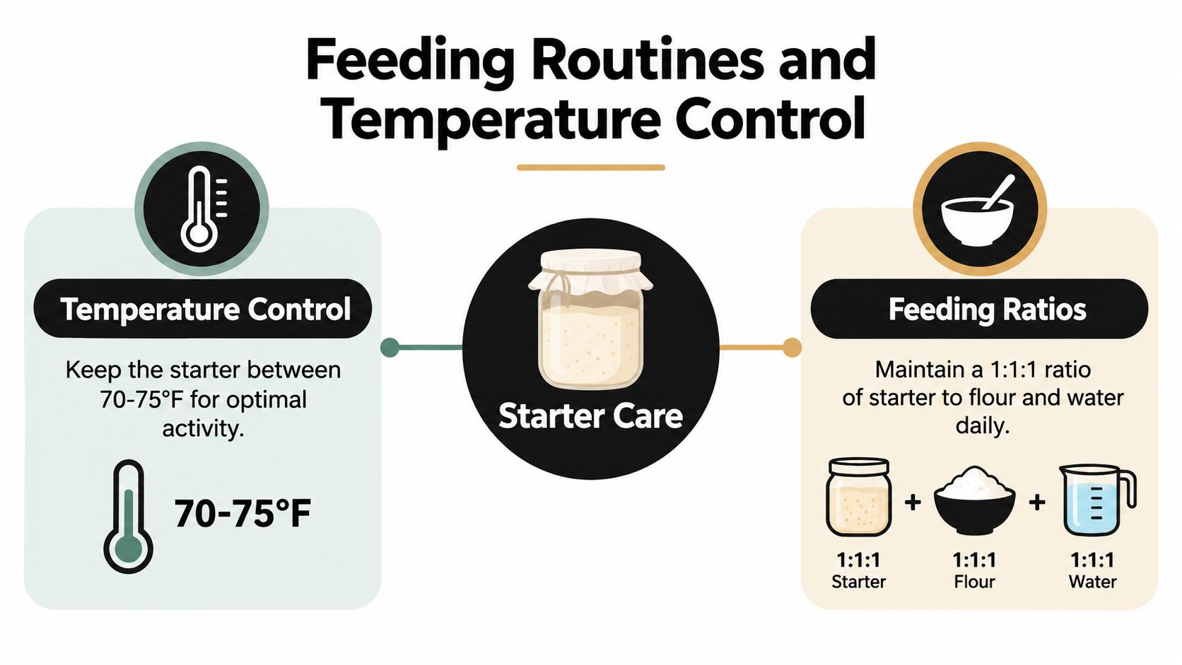 An infographic detailing sourdough starter care, including temperature control guidelines and a daily 1:1:1 feeding ratio.