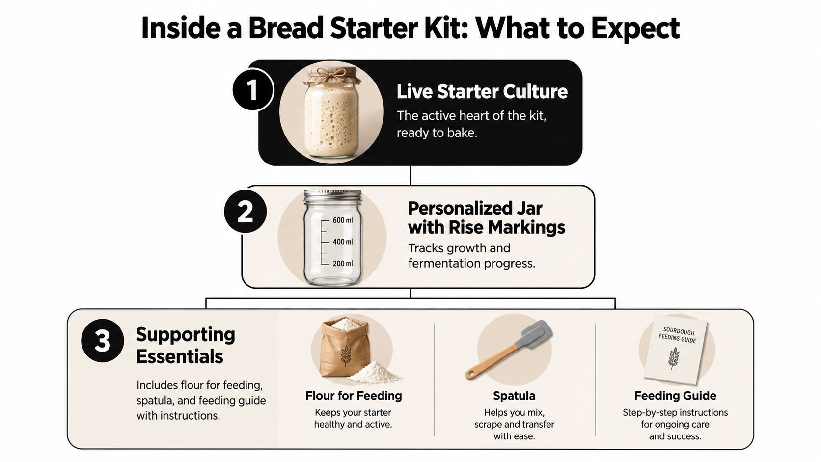 A detailed infographic showing the essential components included in a professional sourdough bread starter kit.