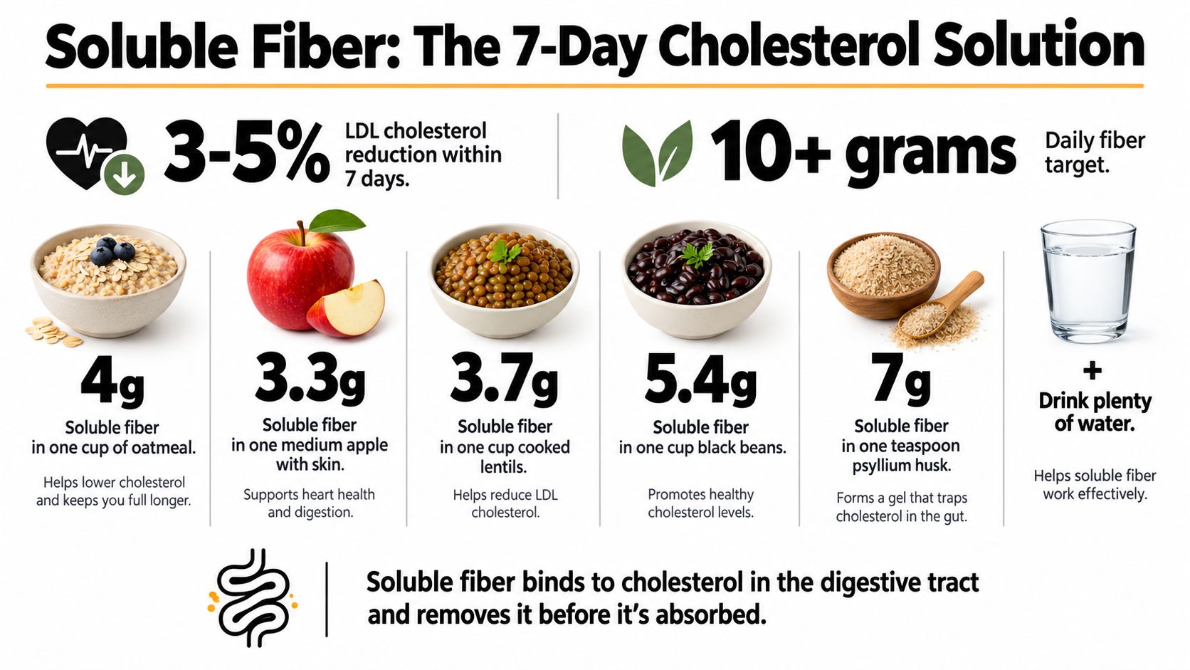 An infographic detailing how to reduce cholesterol in 7 days by consuming 10+ grams of soluble fiber daily.
