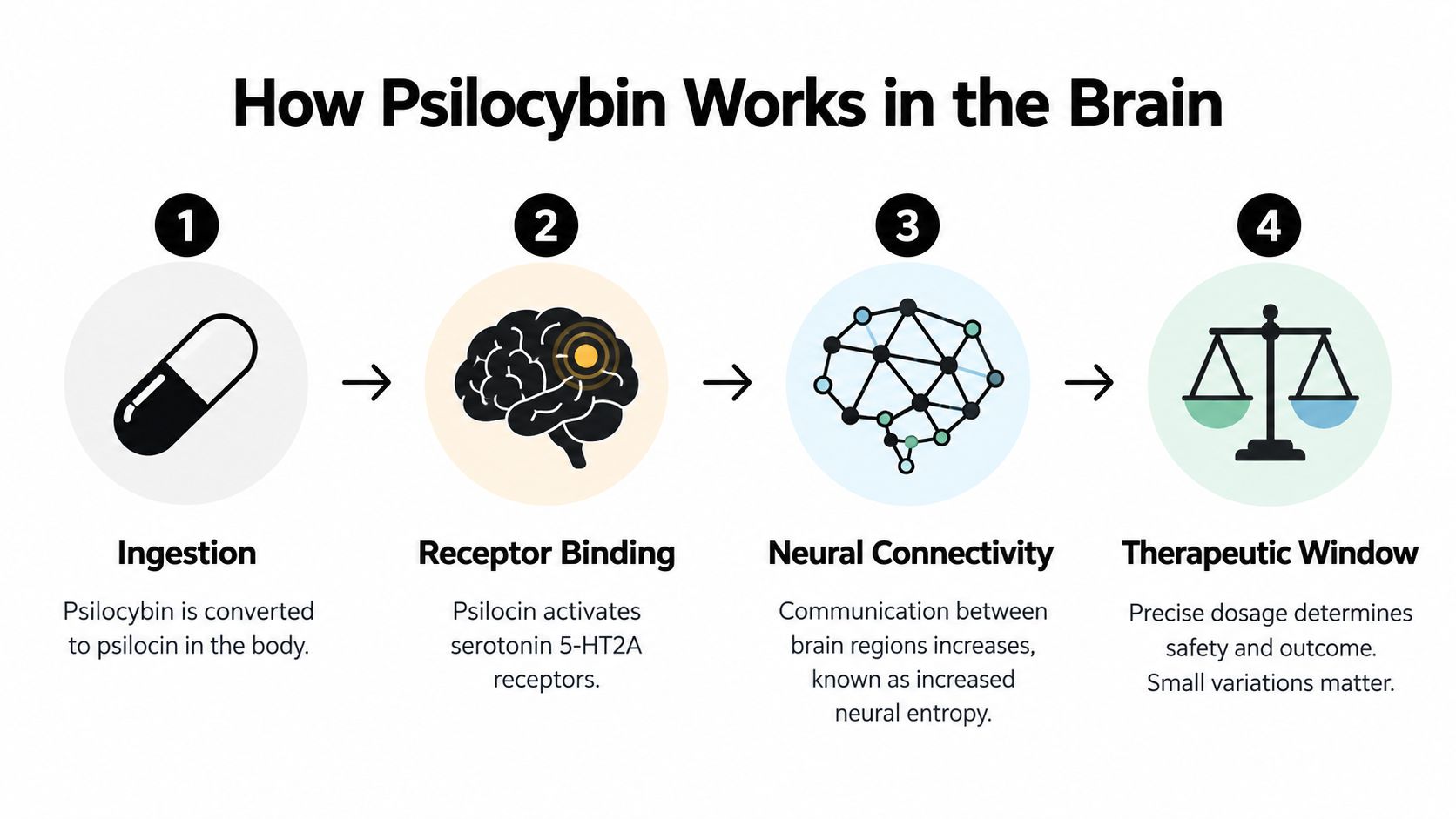 A four-step infographic explaining how psilocybin interacts with the brain to produce therapeutic effects.