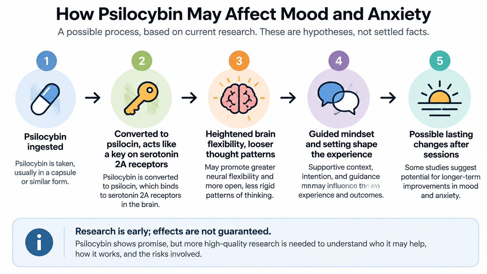 A five-step infographic showing how psilocybin may affect mood and anxiety according to current research.