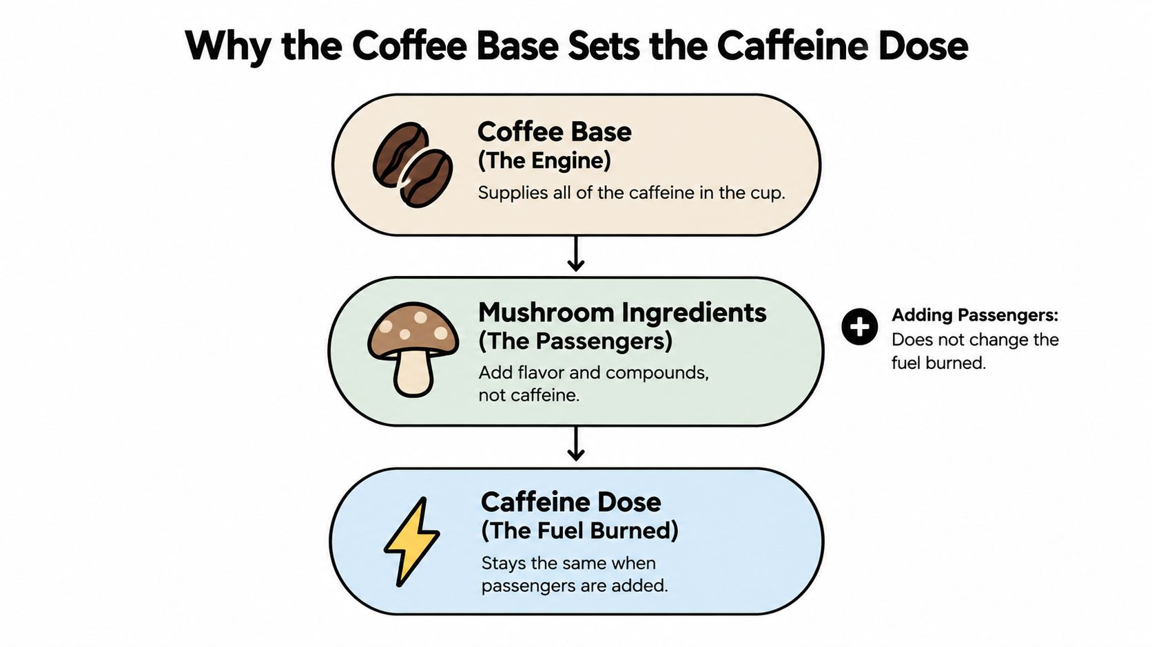 A diagram explaining that the coffee base determines caffeine content, while mushroom additives provide flavor only.