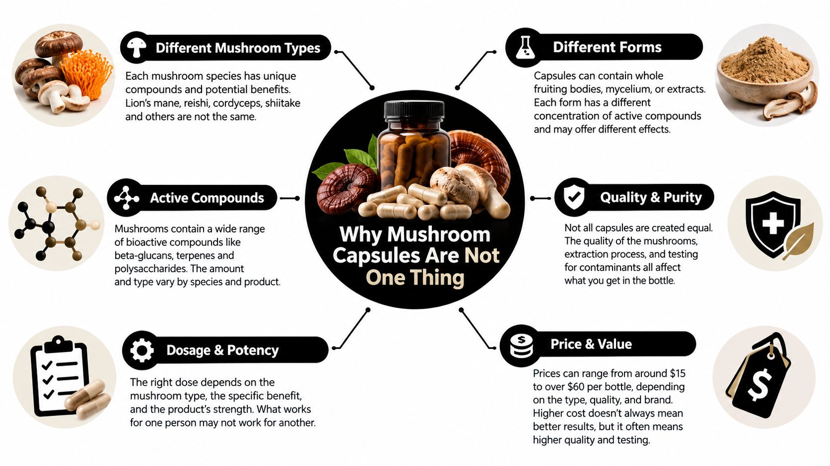 An infographic explaining the key differences in mushroom capsules including types, compounds, quality, potency, and value.