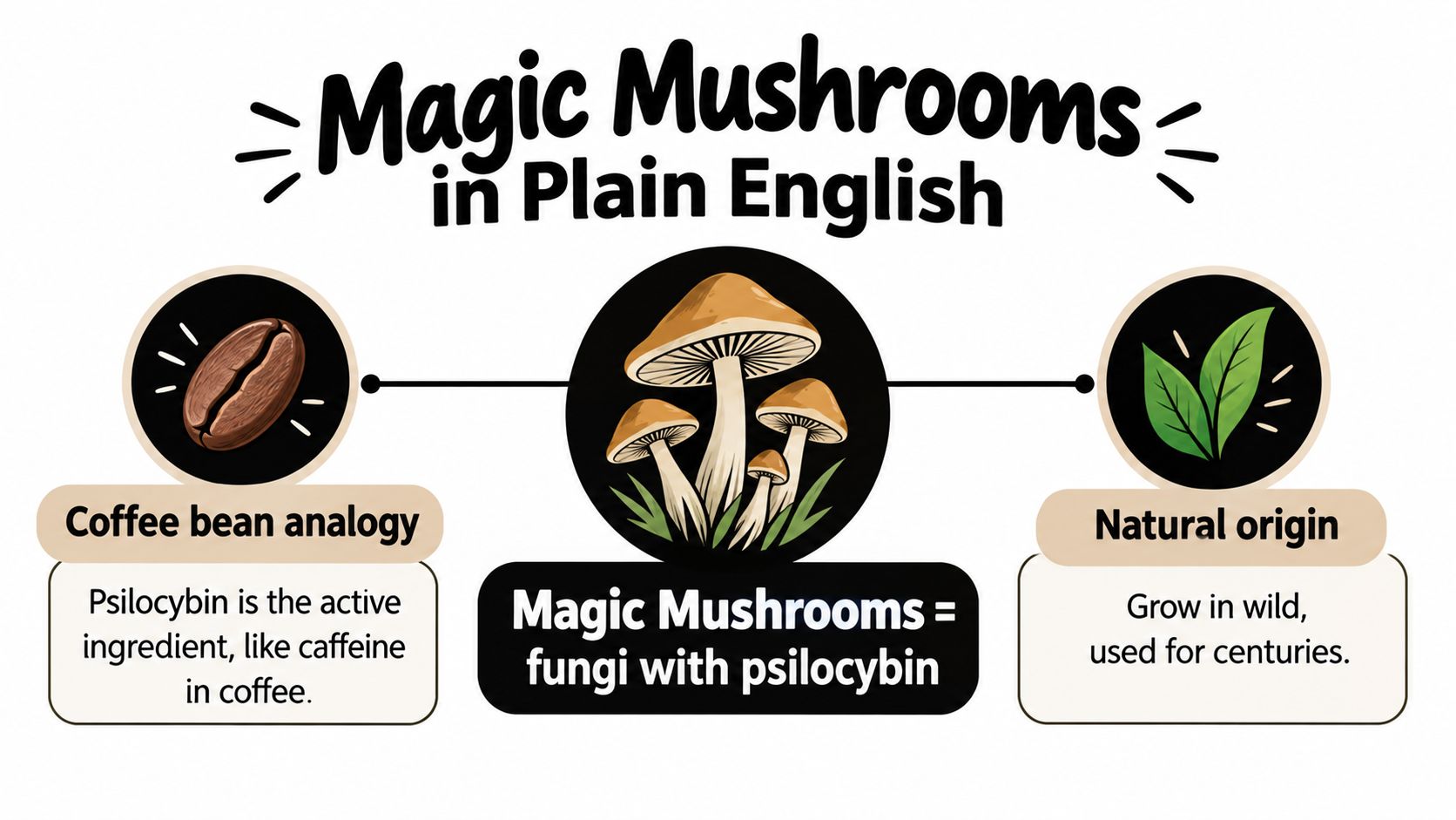 An infographic explaining that magic mushrooms are fungi containing psilocybin, featuring coffee bean and plant analogies.