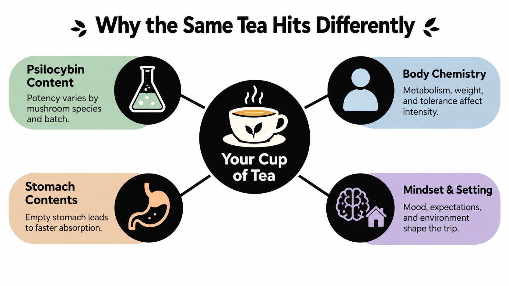 An infographic titled Why the Same Tea Hits Differently showing factors affecting psilocybin tea experiences.