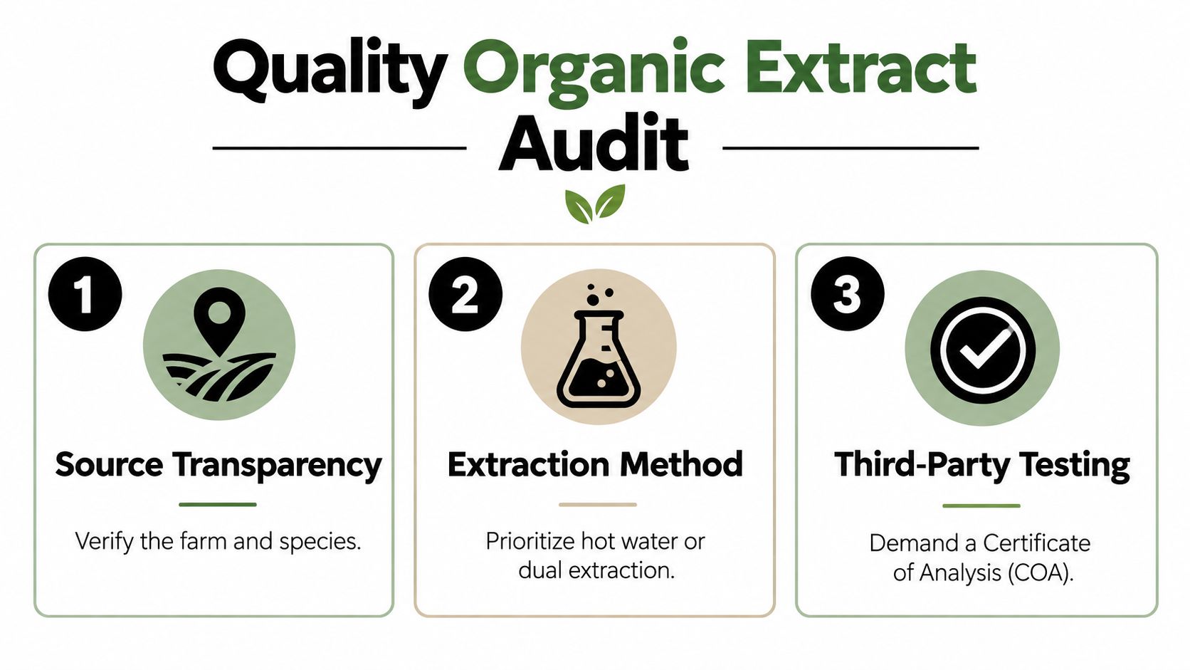 An infographic detailing three essential steps for auditing quality organic functional mushroom extracts for consumers.