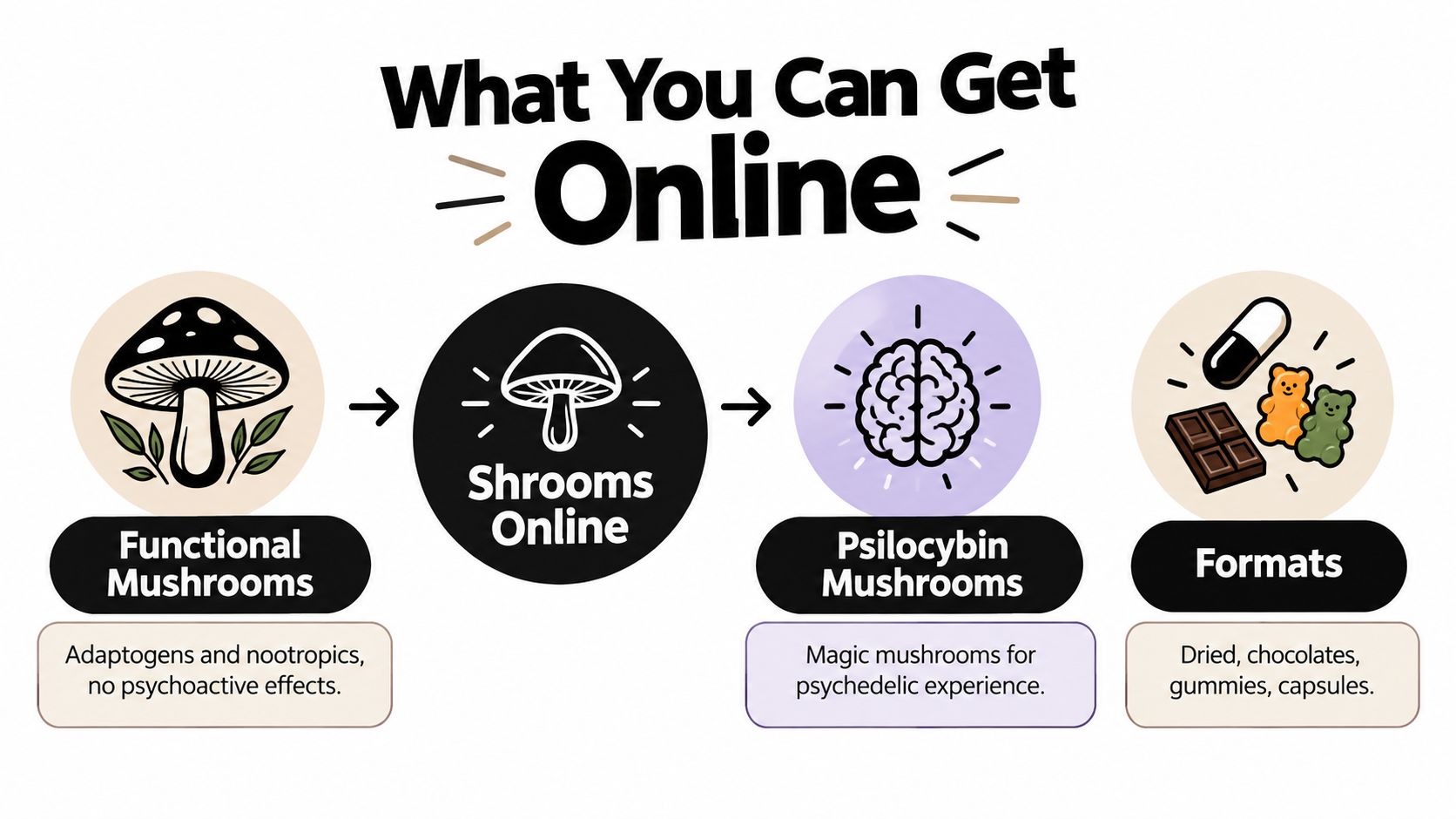 An infographic showing types of mushrooms available online including functional mushrooms and psychoactive psilocybin mushrooms in various formats.