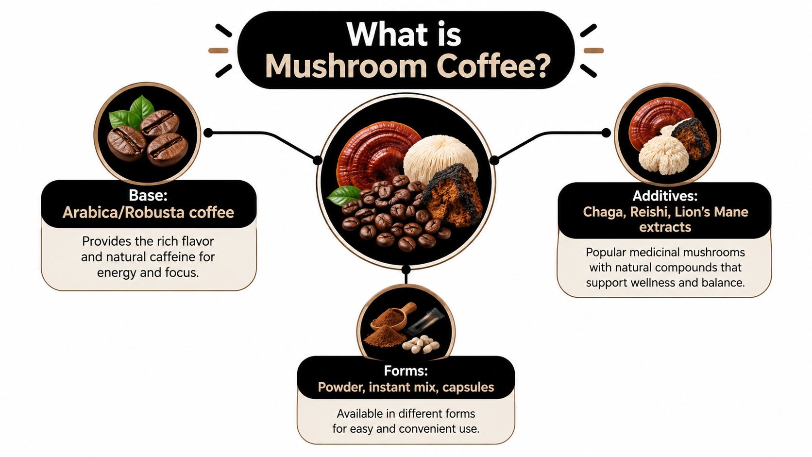An infographic explaining mushroom coffee, detailing its coffee base, medicinal mushroom additives, and available consumption forms.