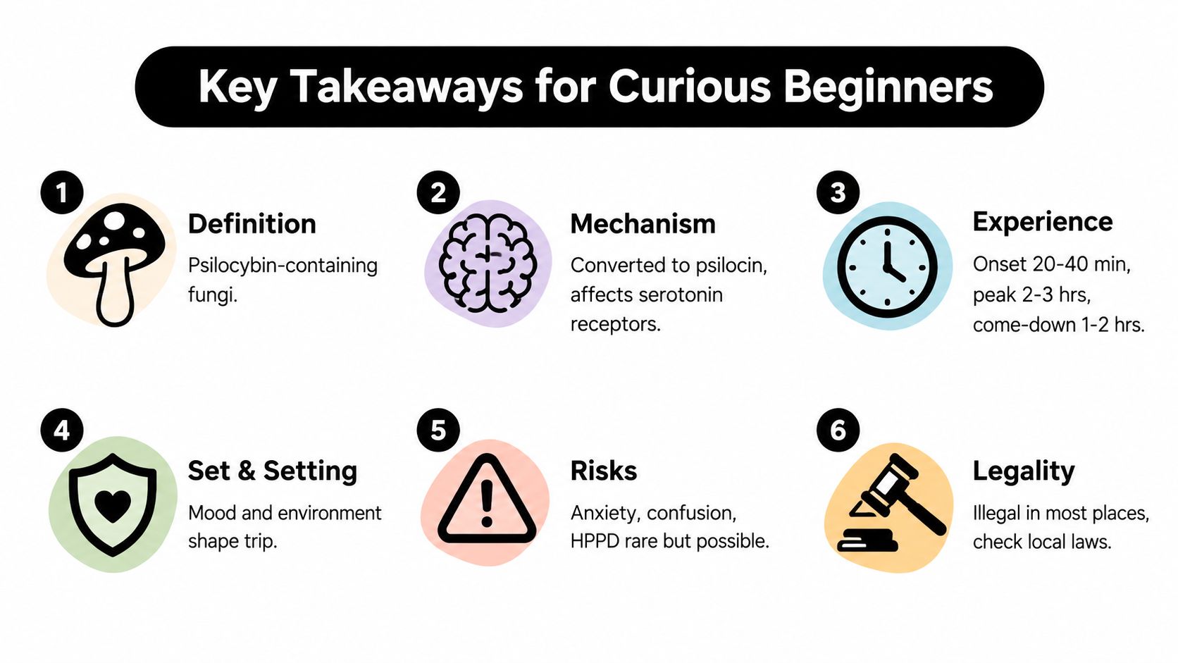 An infographic titled Key Takeaways for Curious Beginners outlining definitions, biological mechanisms, and risks of psilocybin mushrooms.