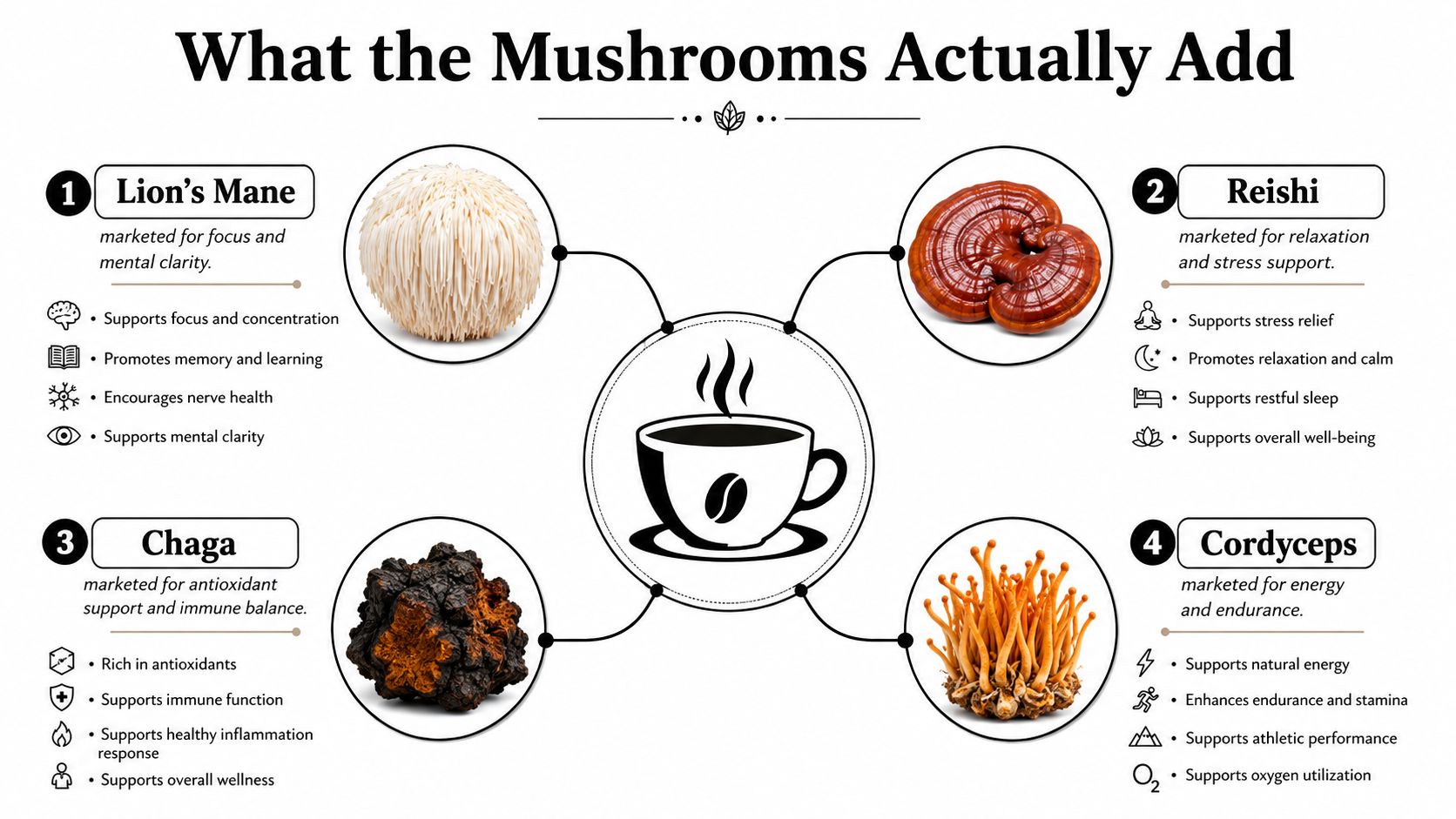 An infographic showing four medicinal mushrooms, Lion's Mane, Reishi, Chaga, and Cordyceps, and their associated health benefits in coffee.