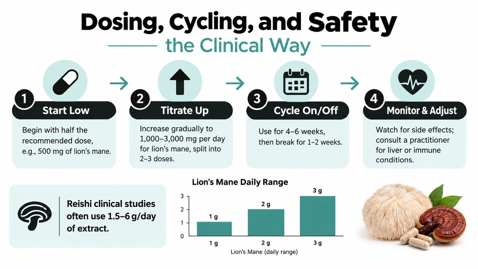 A clinical guide on dosing, cycling, and safety for lion's mane and reishi mushroom supplements.