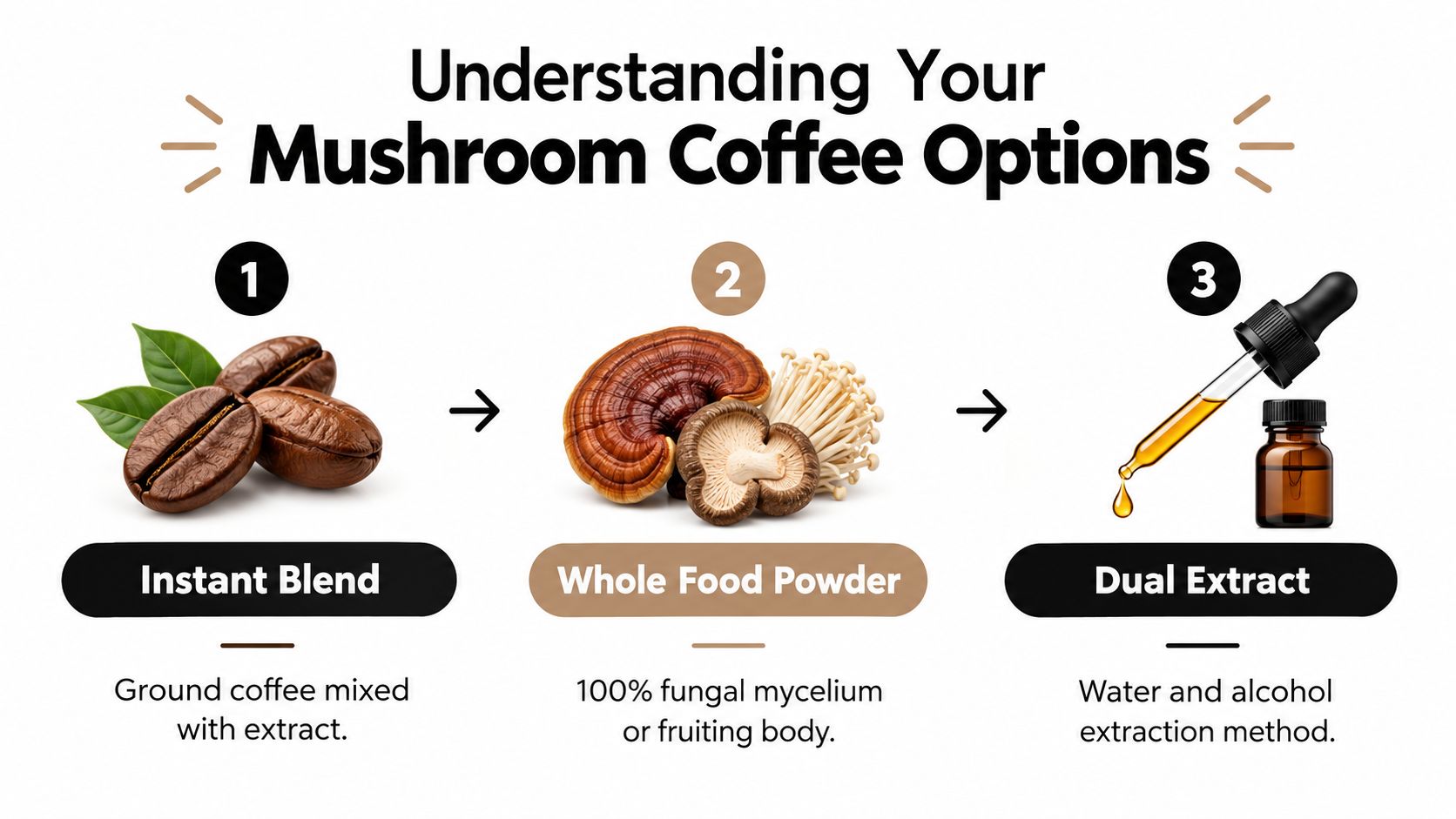 A diagram comparing three mushroom coffee processing methods: instant blend, whole food powder, and dual extract.