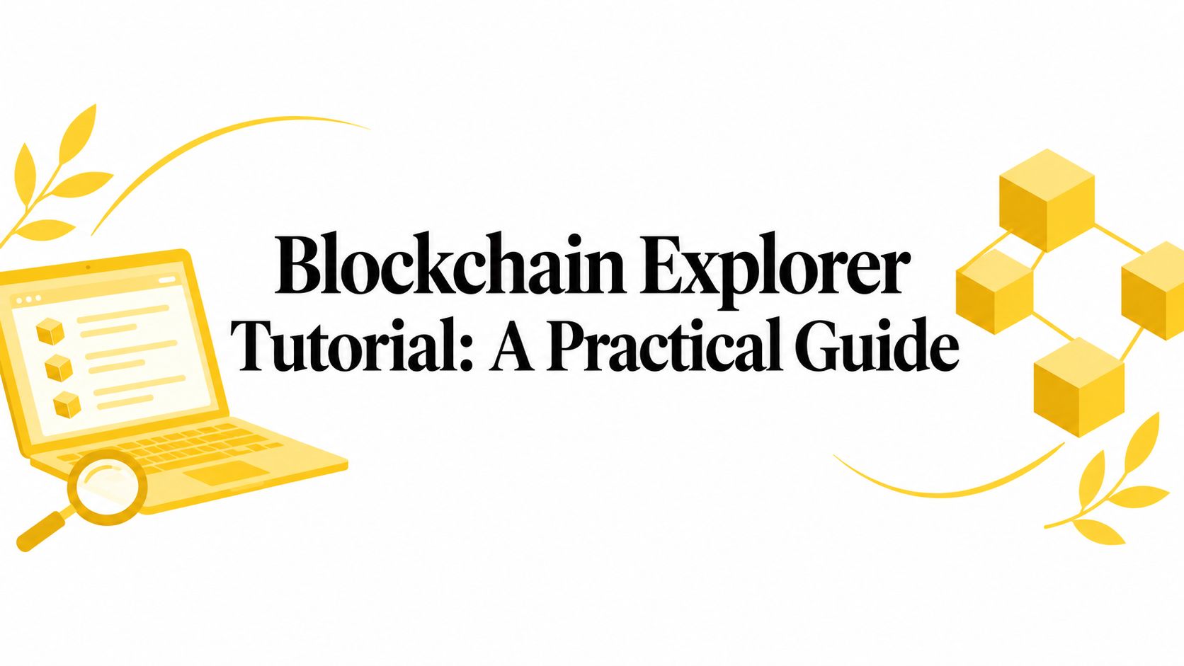 Blockchain Explorer Tutorial: A Practical Guide