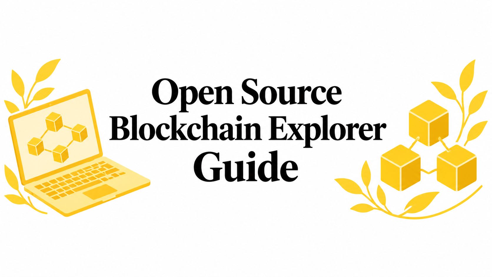 Open Source Blockchain Explorer Guide