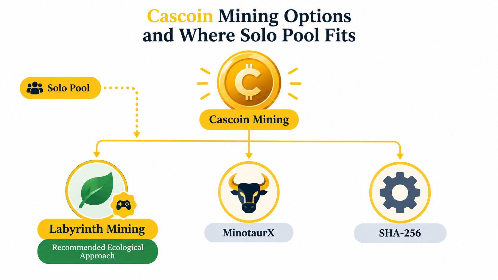 A diagram illustrating Cascoin mining options, including Labyrinth Mining, MinotaurX, SHA-256, and the role of Solo Pool.