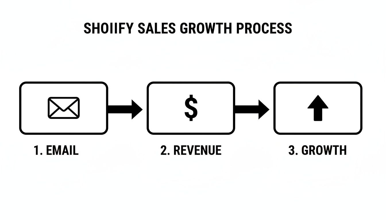 Diagram illustrating the Shopify sales growth process through email, leading to revenue and growth.