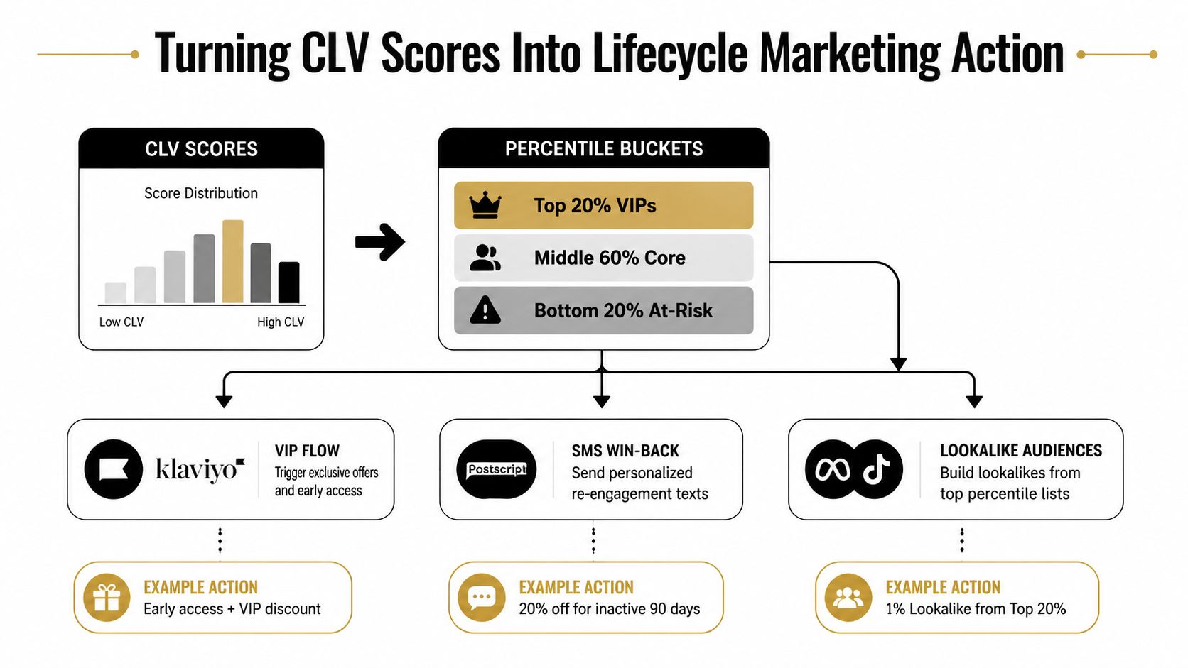 A diagram illustrating how to transform customer lifetime value scores into actionable lifecycle marketing strategies.